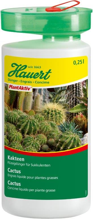 Cactus - 250ml