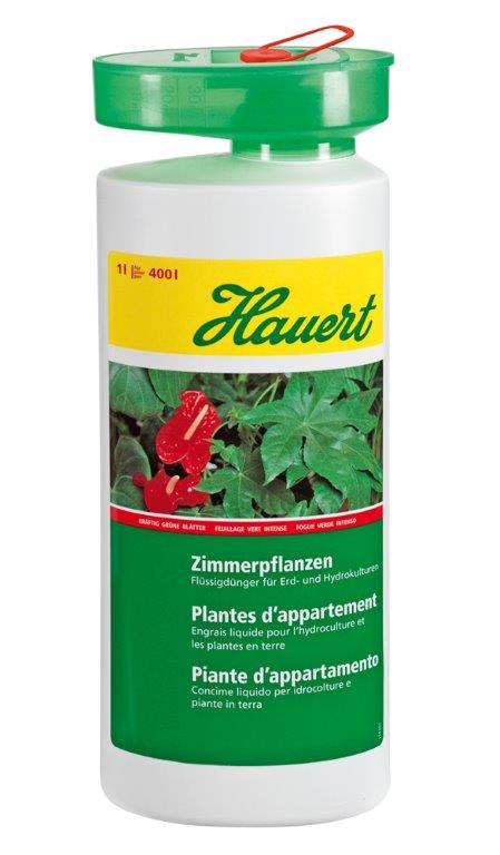 Plantes dappartement - 1L