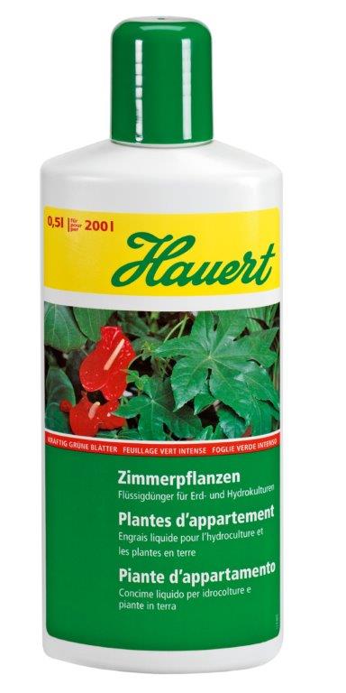 Plantes dappartement - 500ml