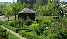 Wuxal universale - Display 
