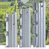 Piquet vigne galvanis� - 250cm avec ergots